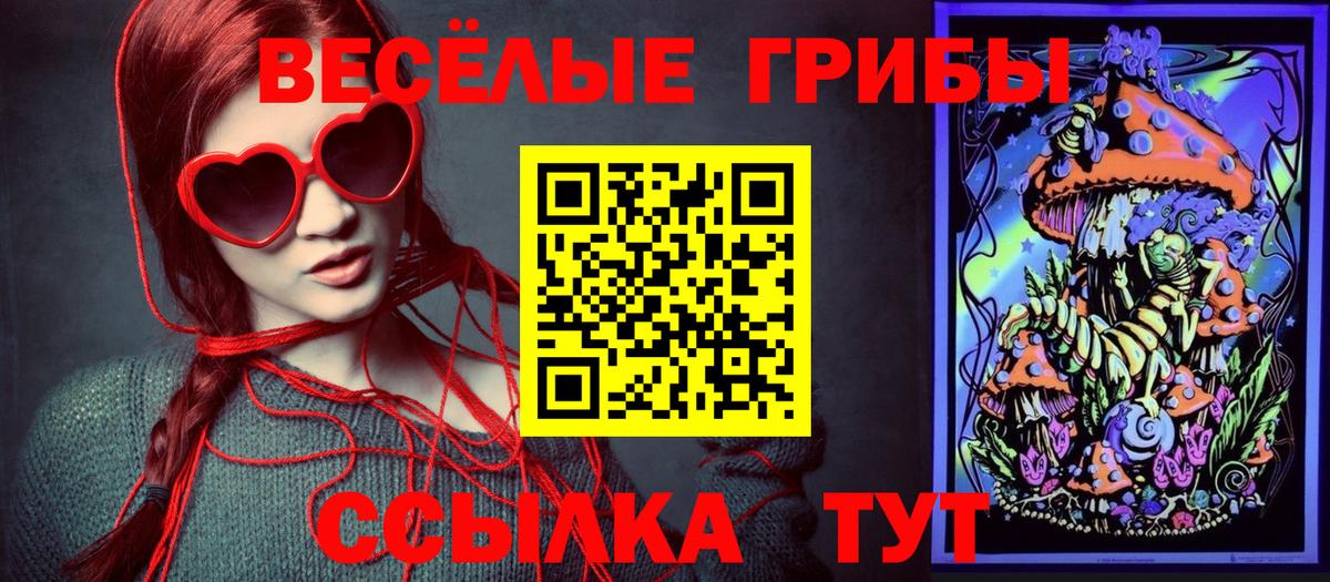 купить наркоту  Галлюциногенные грибы Psilocybine cubensis  Вход с VPN  Галлюциногенные грибы Magic Shrooms  Каменка 