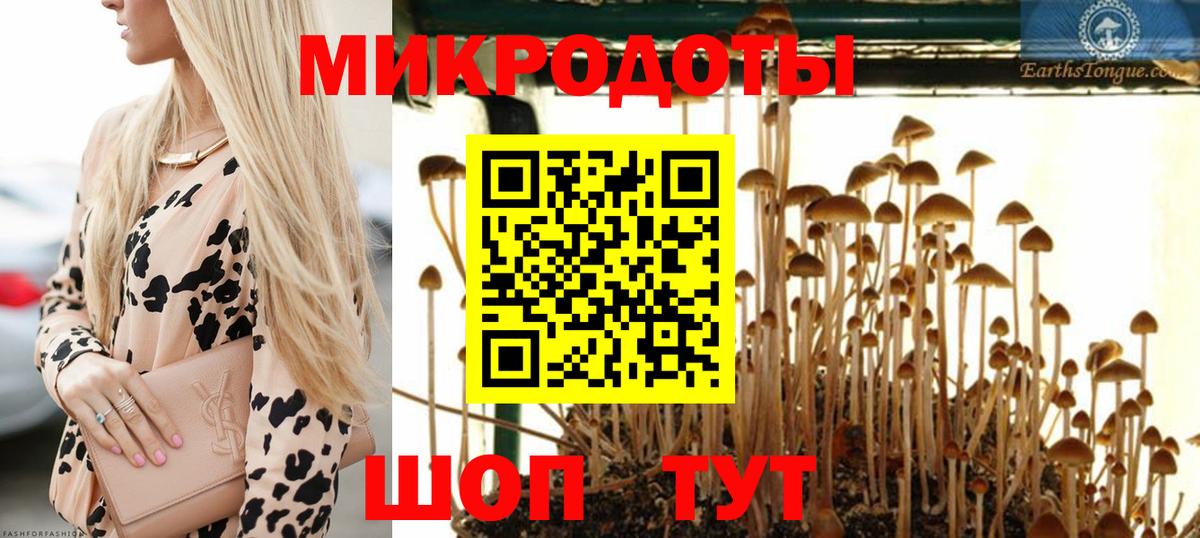 Псилоцибиновые грибы GOLDEN TEACHER Каменка
