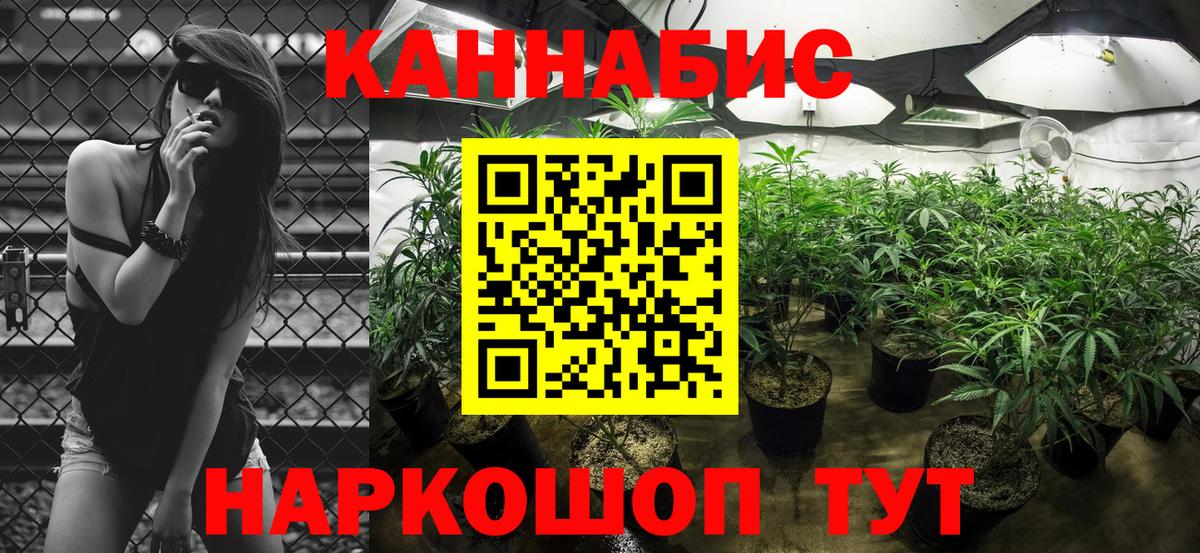 Шишки марихуана тримм Каменка